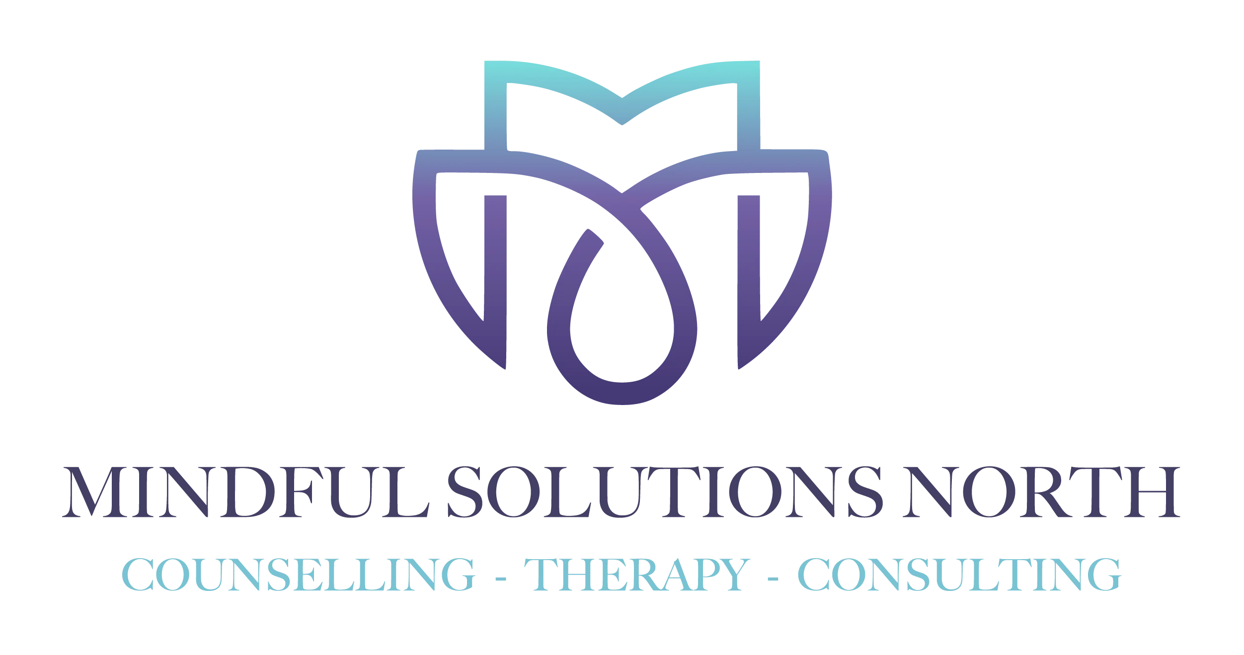 Mindful Solutions North